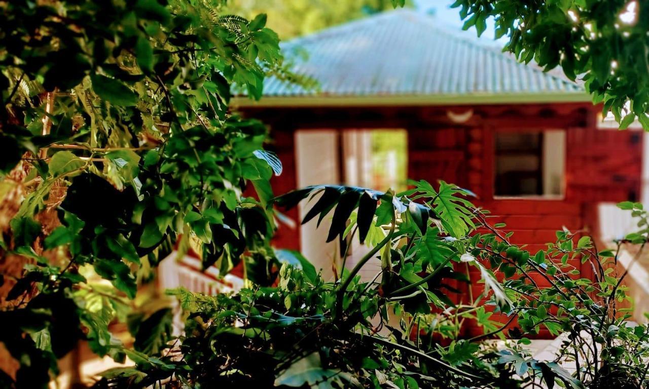 Gite Mamour - Charmant Petit Bungalow A Decouvrir Baillif Extérieur photo